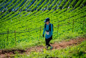 BIB: 
                            <button type="button" onclick="openModal(19162918)" class="btn btn-primary btn-sm float-right btn-popup" data-toggle="modal" data-target=".modal-high-quality">
                        <i class="fas fa-shopping-cart"></i> Add to Cart
                    </button>
                                            <button type="button" onclick="isThisMe(19162918, true)" class="btn btn-success btn-sm float-right btn-popup btn-isme hidden" data-toggle="tooltip" data-placement="bottom" title="นี่คือรูปของคุณใช่ไหม คลิกที่นี่เพื่อเอาเข้าอัลบั้ม">
                        <i class="fas fa-plus"></i> Add to album
                    </button>
                    <button type="button" onclick="isThisMe(19162918, false)" class="btn btn-warning btn-sm float-right btn-popup btn-isnotme hidden">
                        <i class="fas fa-ban"></i> Remove from album
                    </button>